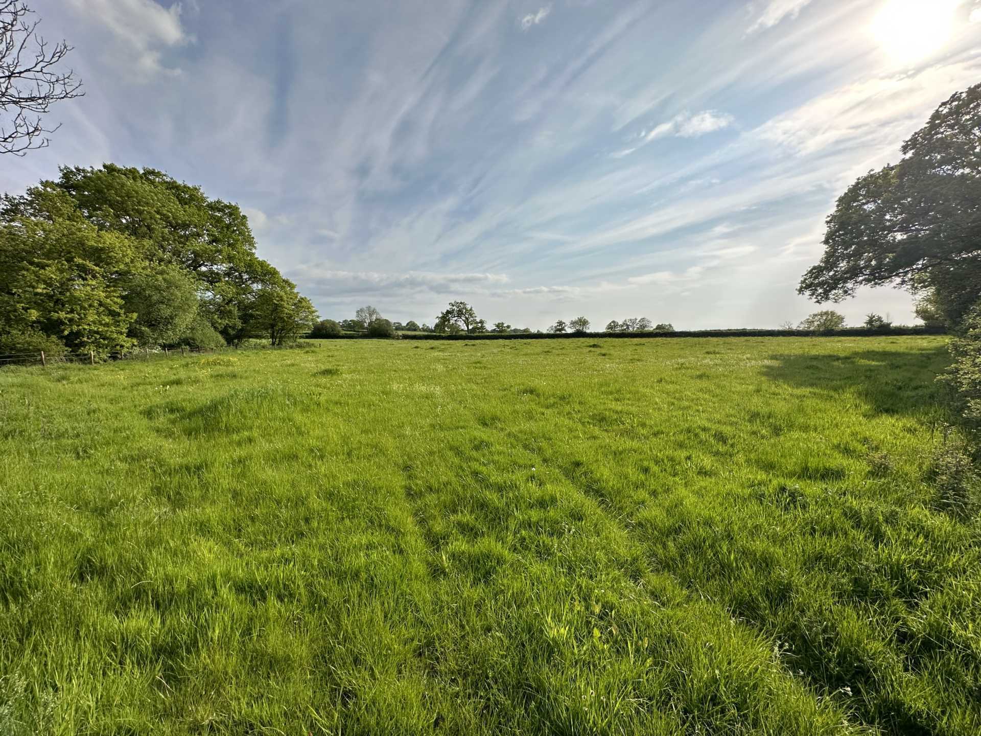 Sedgehill, Wiltshire Image 4