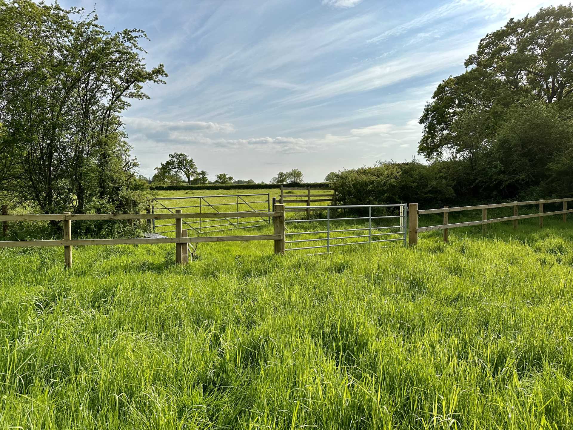 Sedgehill, Wiltshire Image 5