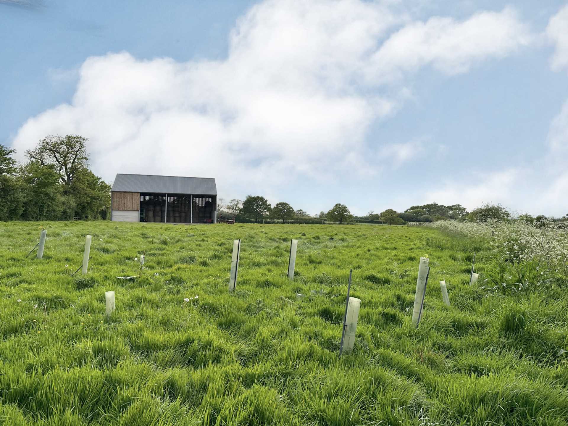 Sedgehill, Wiltshire Image 7
