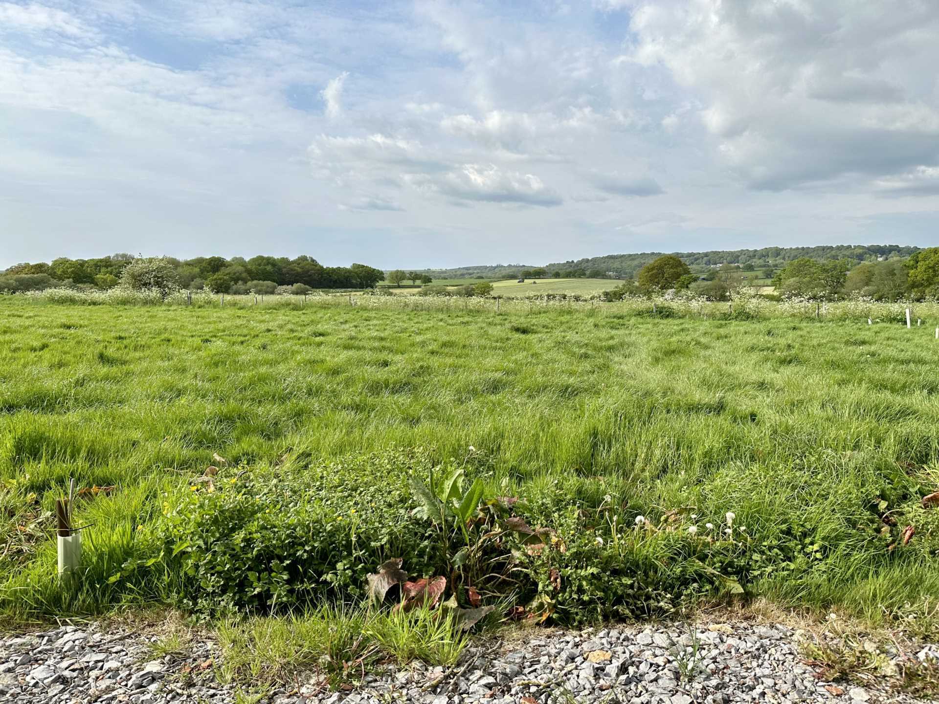 Sedgehill, Wiltshire Image 8