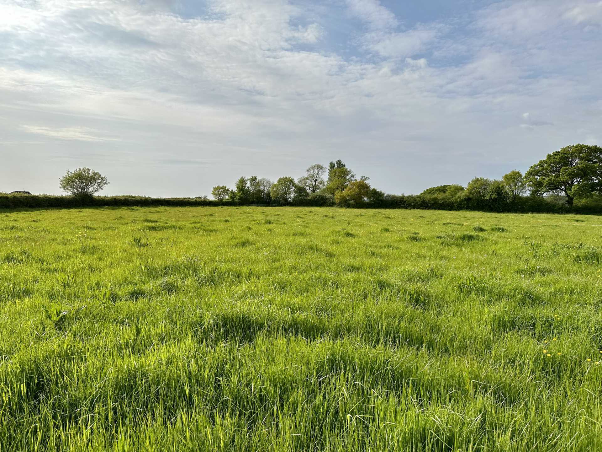 Sedgehill, Wiltshire Image 11