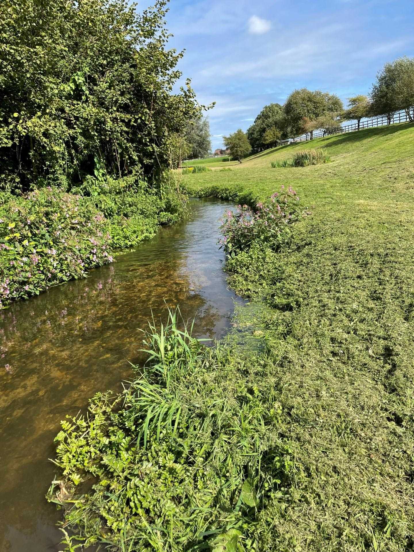 Nr Ilminster, Somerset Image 21