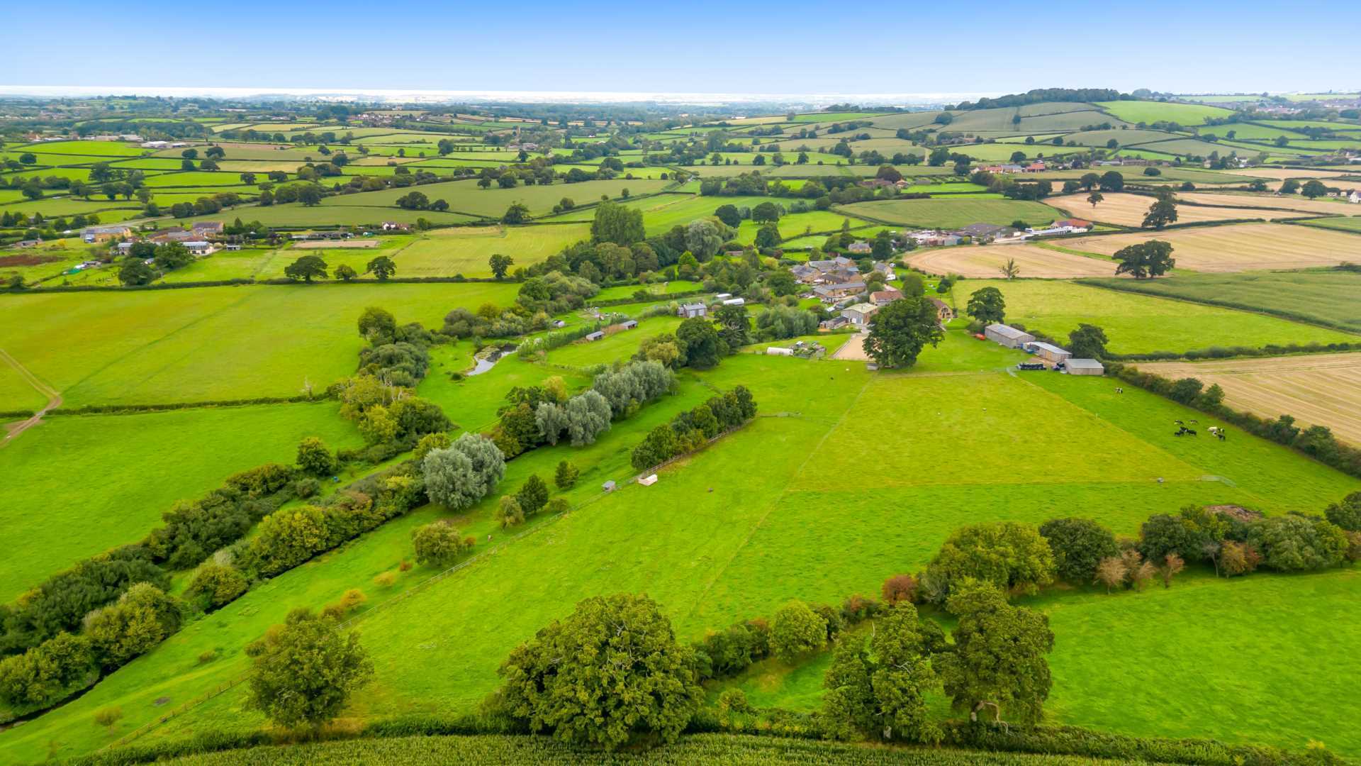 Nr Ilminster, Somerset Image 24