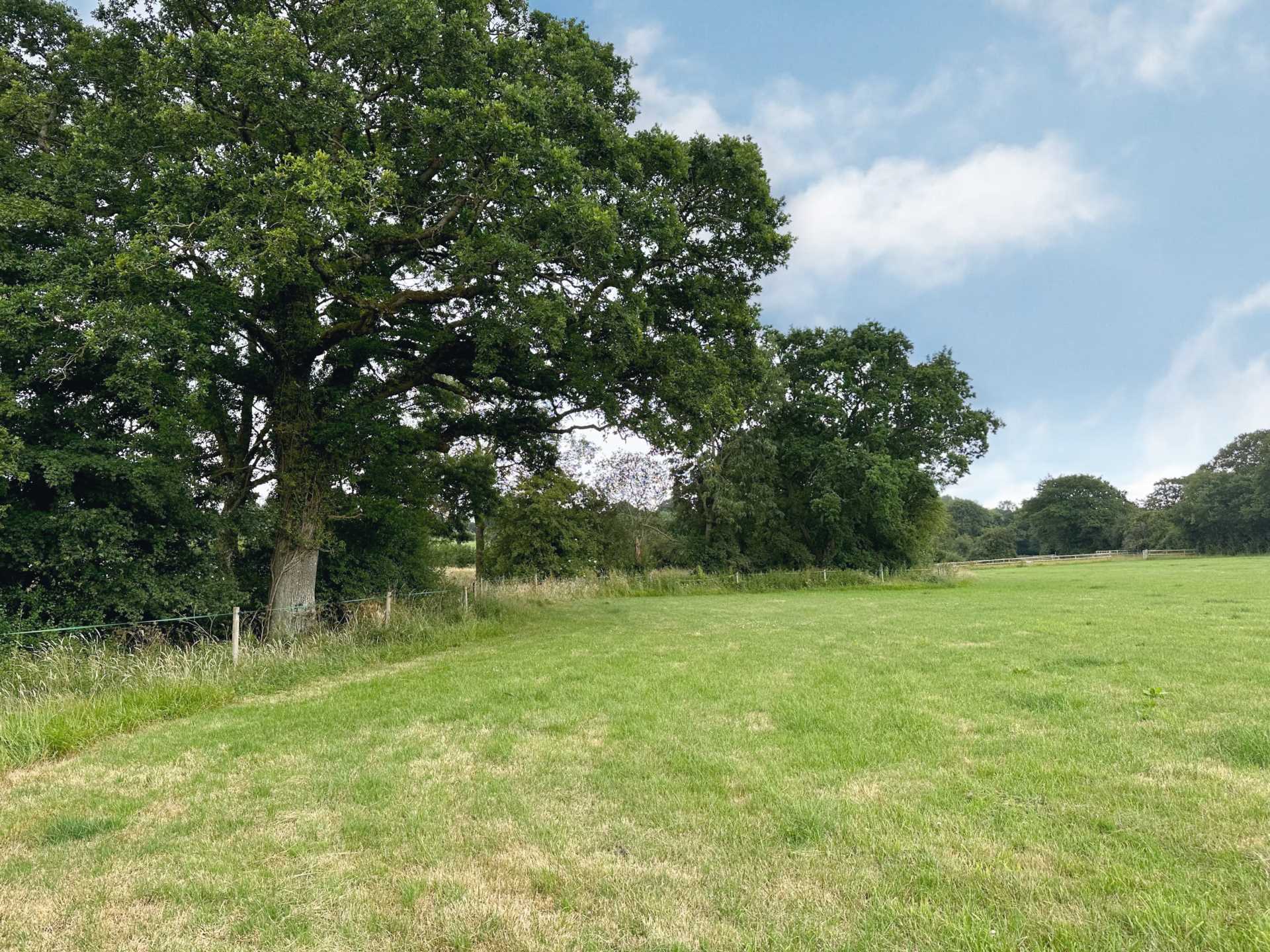 Sedgehill, Wiltshire Image 3