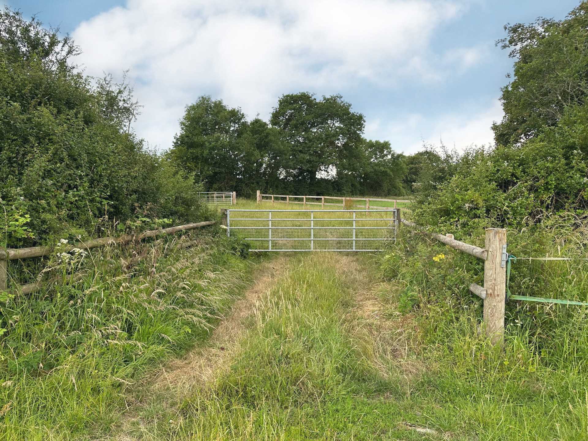 Sedgehill, Wiltshire Image 4