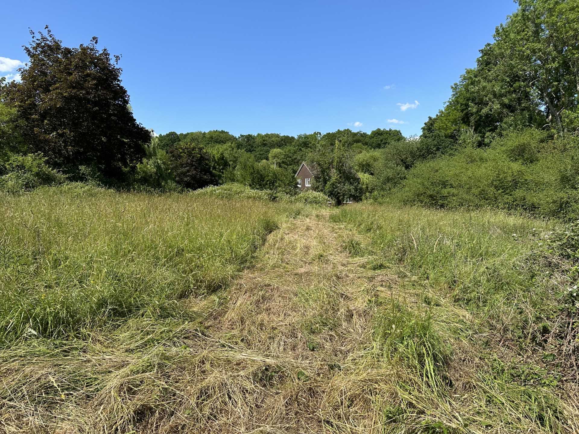 East Wellow, Hampshire Image 5