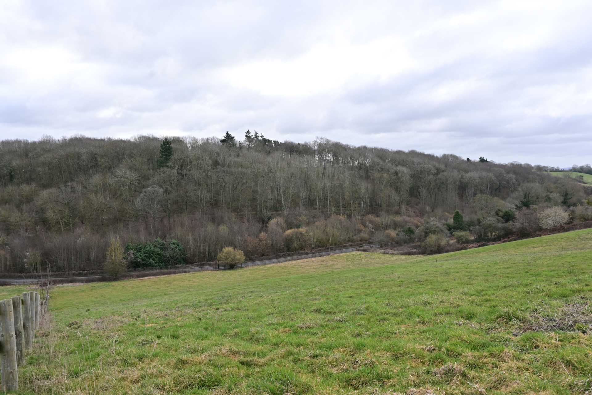 Land at Bodenham House, Much Marcle, Ledbury Image 8
