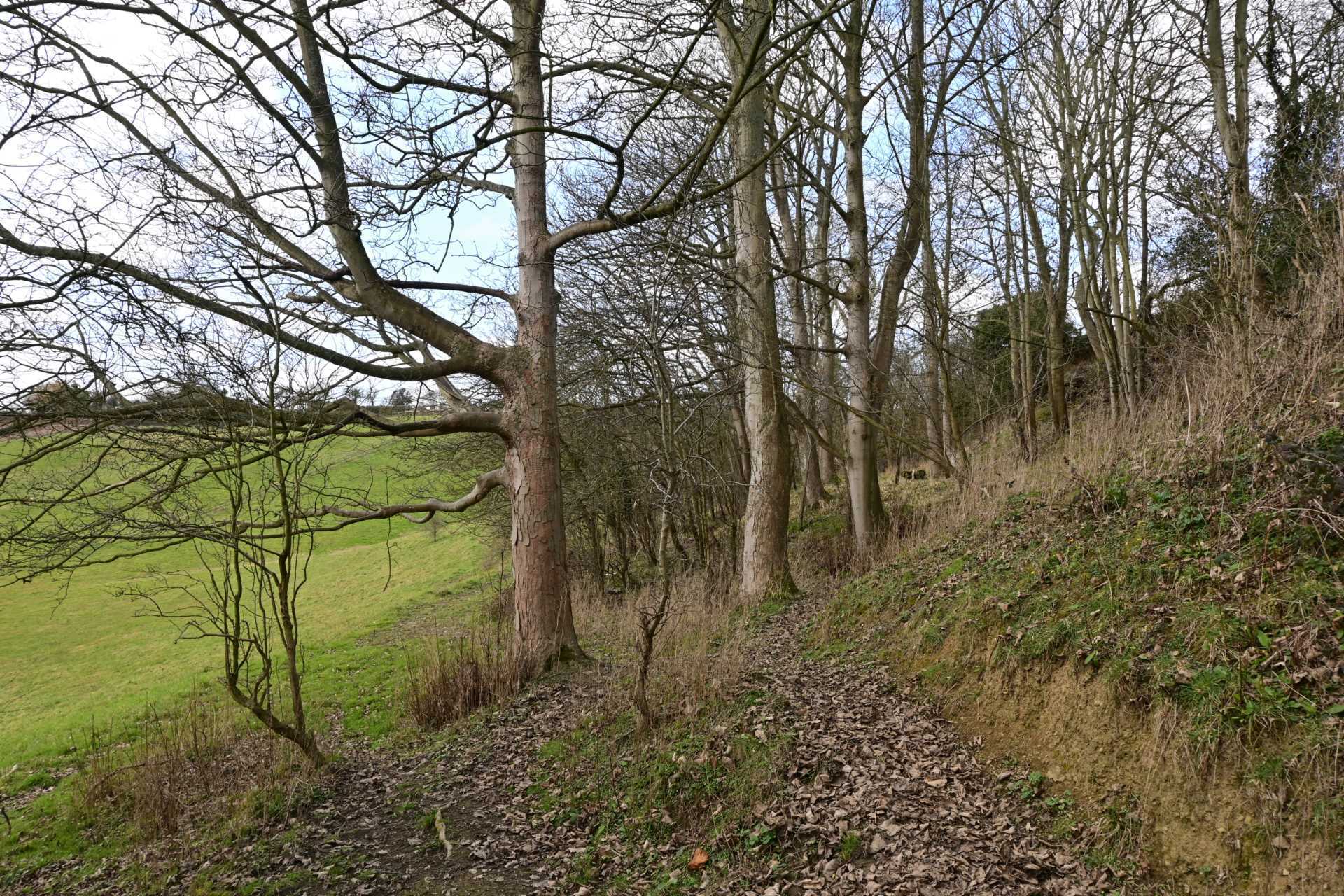 Land at Bodenham House, Much Marcle, Ledbury Image 9