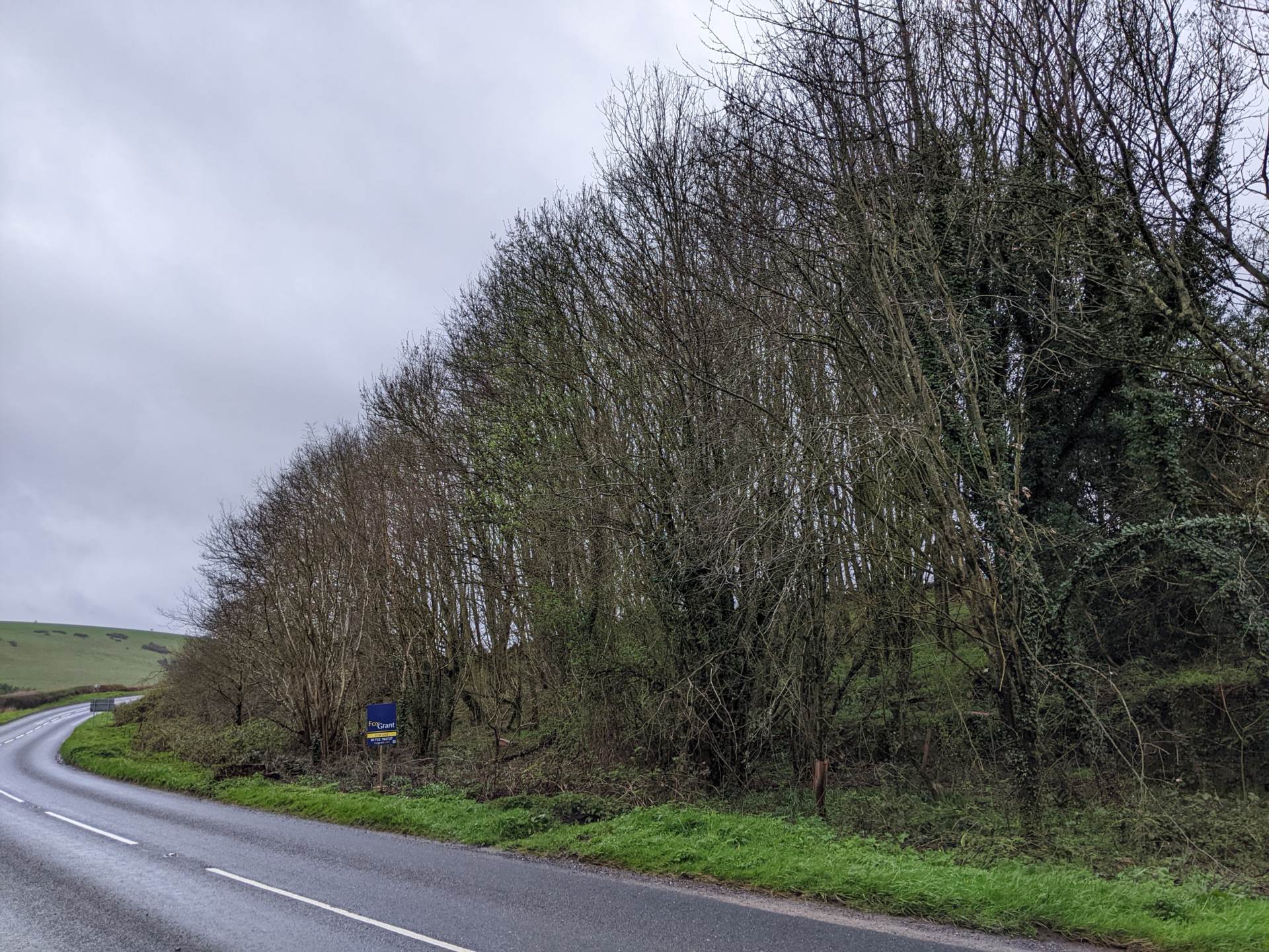 Swallowcliffe, Salisbury Image 6