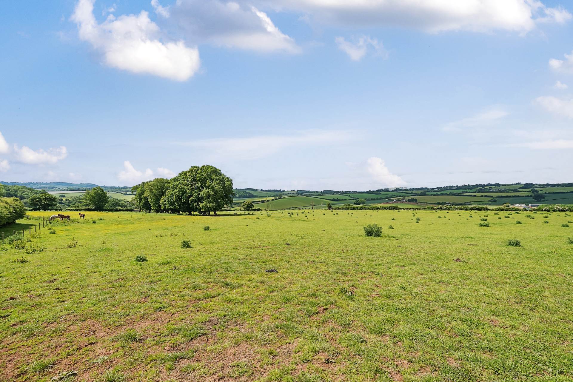 Land at St Weonards, Hereford Image 1