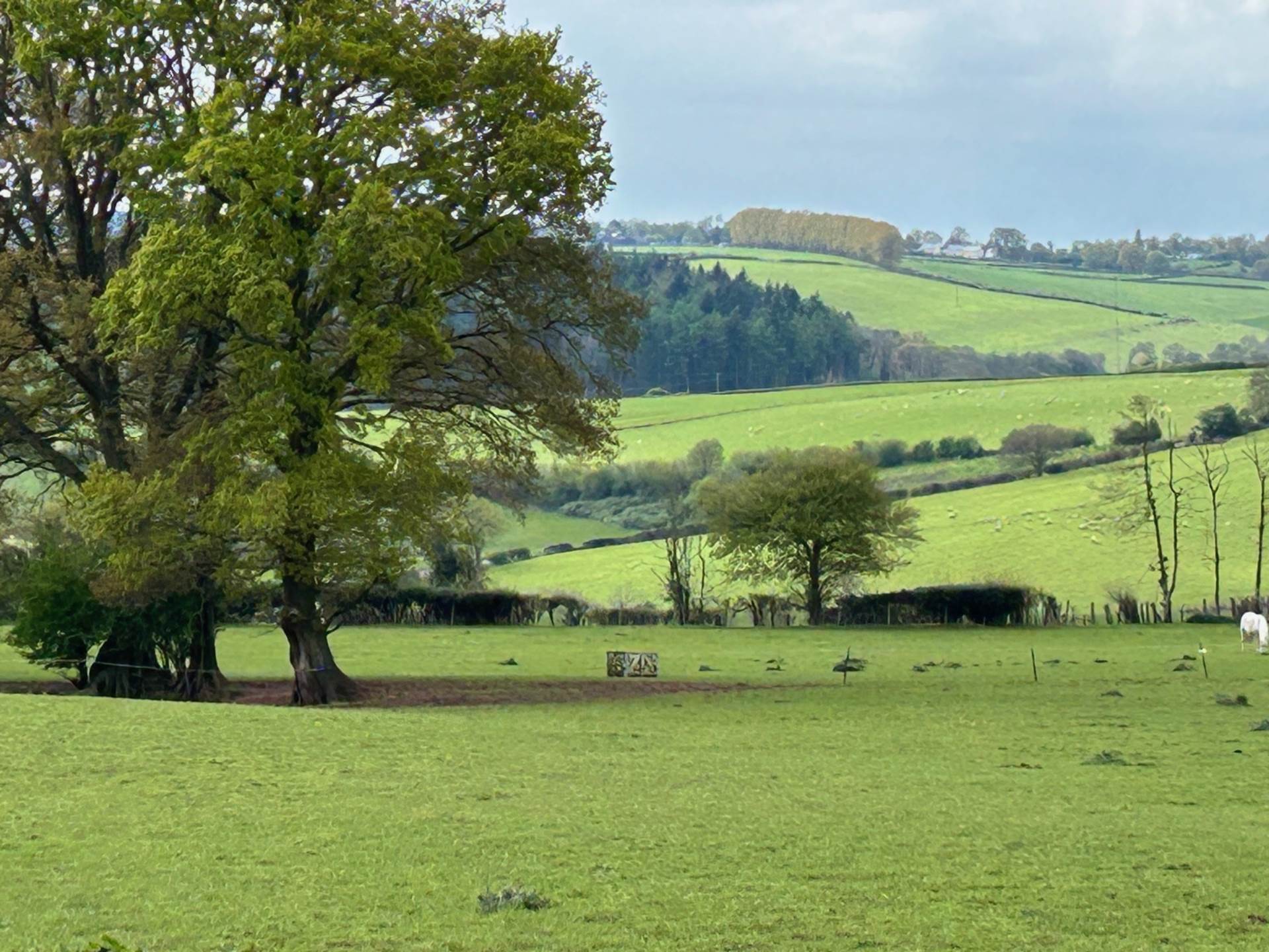 Land at St Weonards, Hereford Image 4