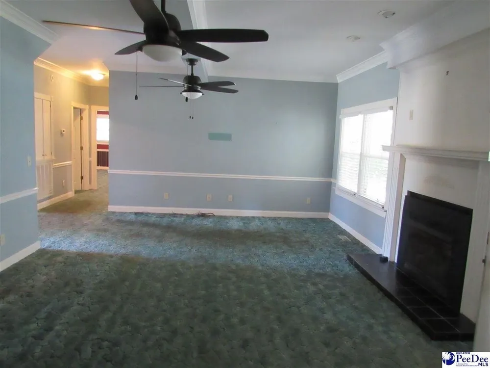 1122 Olanta Hwy, Effingham, SC 29541