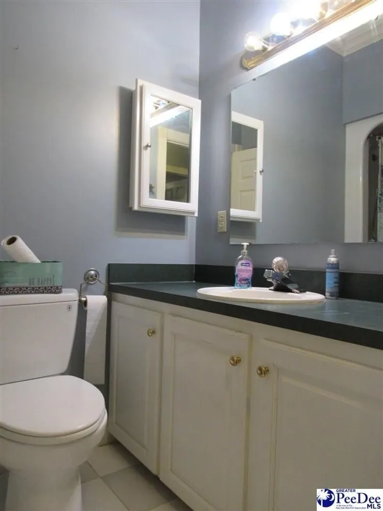 1122 Olanta Hwy, Effingham, SC 29541