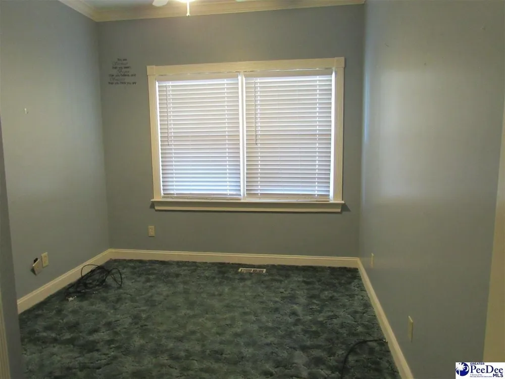 1122 Olanta Hwy, Effingham, SC 29541