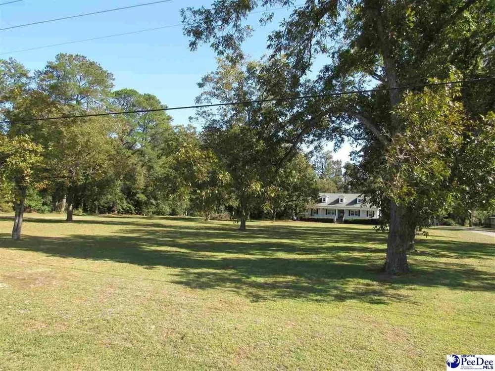 1122 Olanta Hwy, Effingham, SC 29541