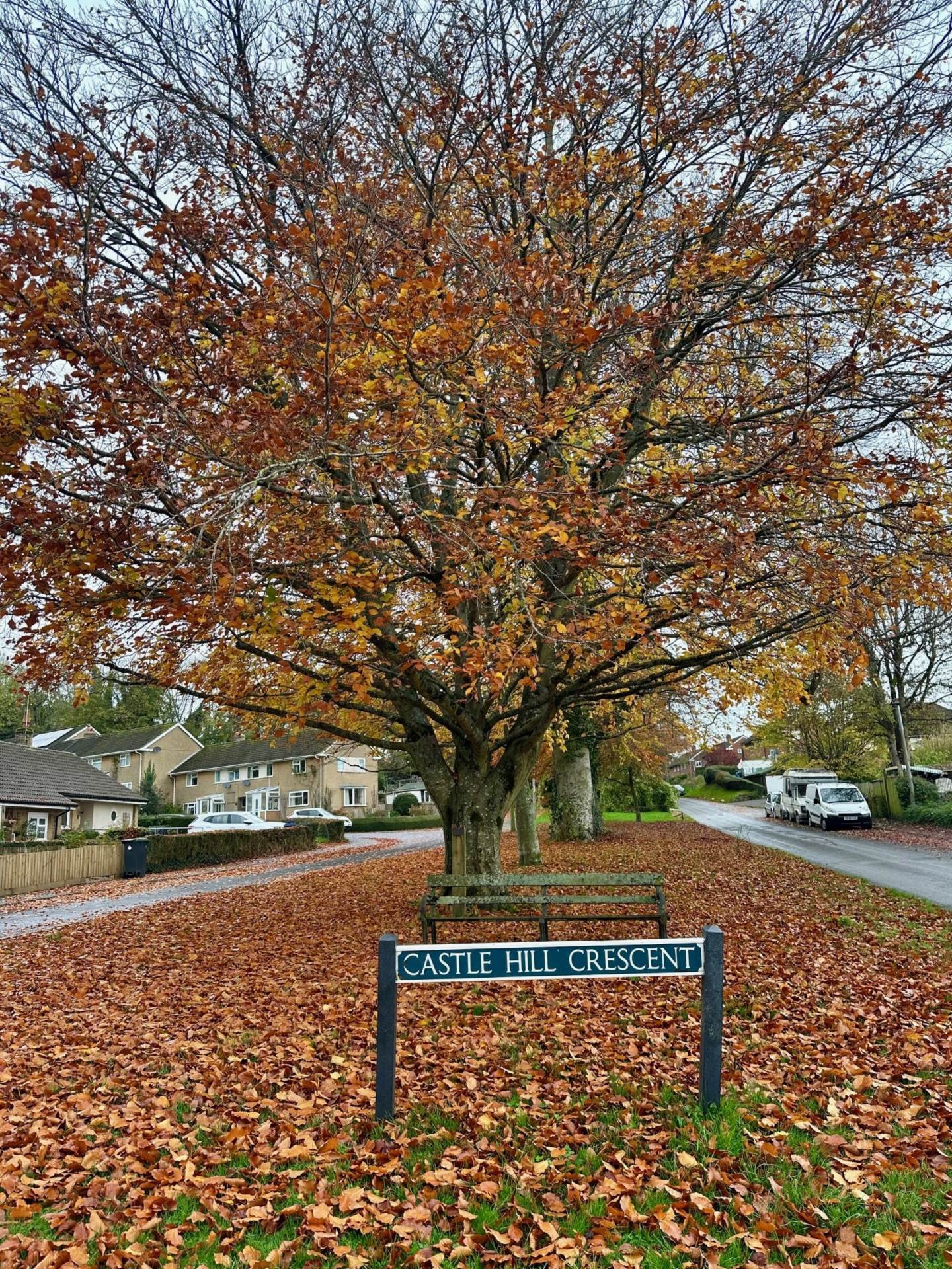 Mere, Wiltshire Image 16