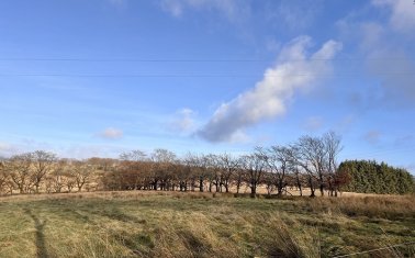 Llanfair Clydogau, Lampeter, Ceredigion.