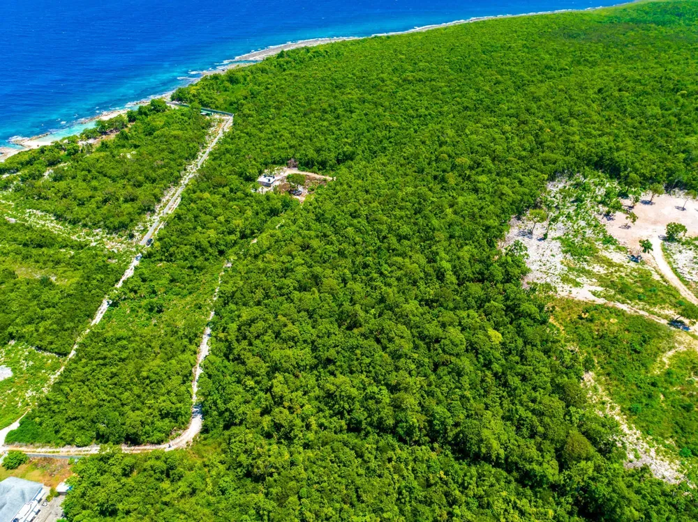 DAIRY ROAD St. Ann