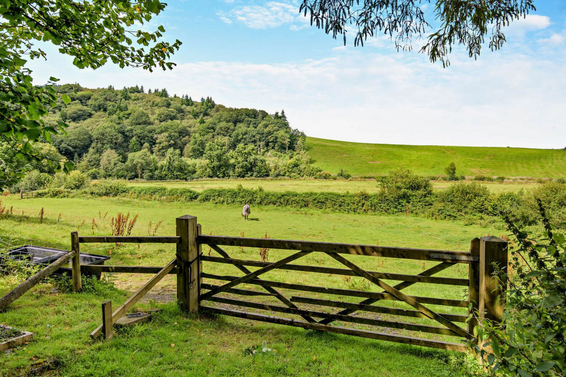 Crugybar, Llanwrda, Carmarthenshire Image 15