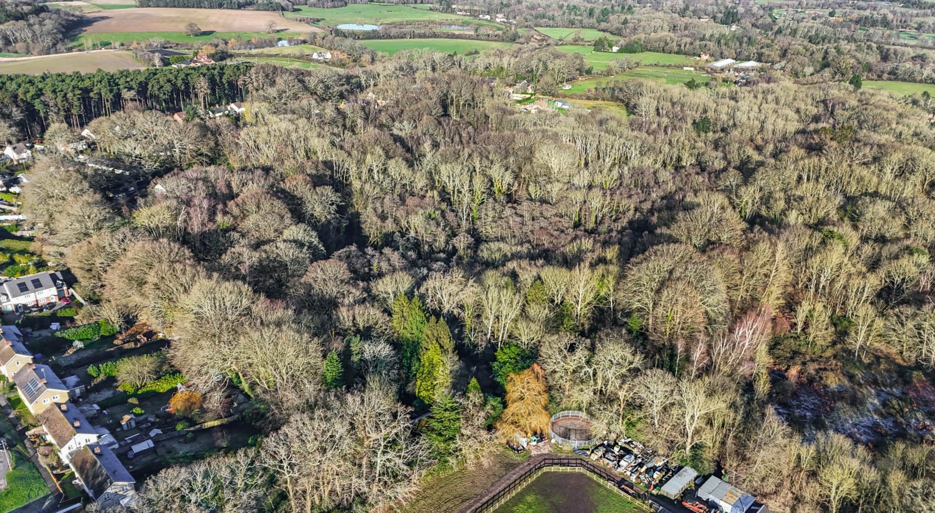 Awbridge, Nr Romsey Image 9