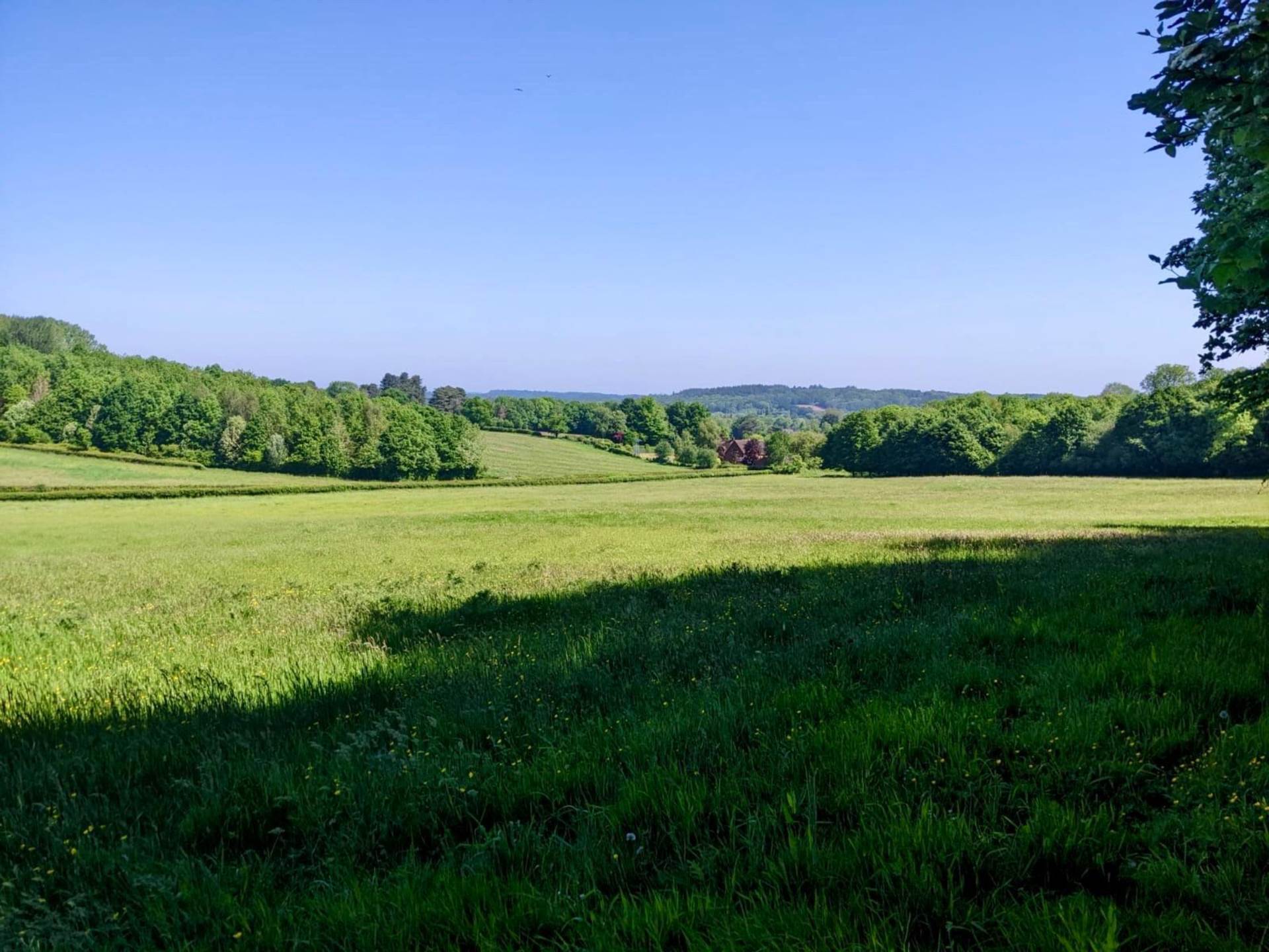 Land At Mount Lane, Romsey Image 2