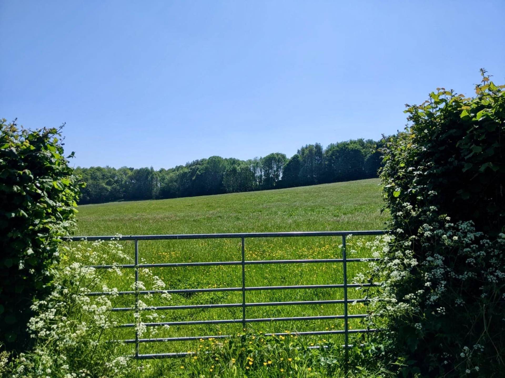 Land At Mount Lane, Romsey Image 3