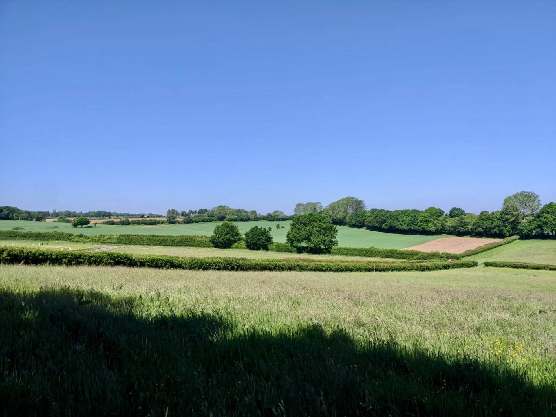 Land At Mount Lane, Romsey Image 4