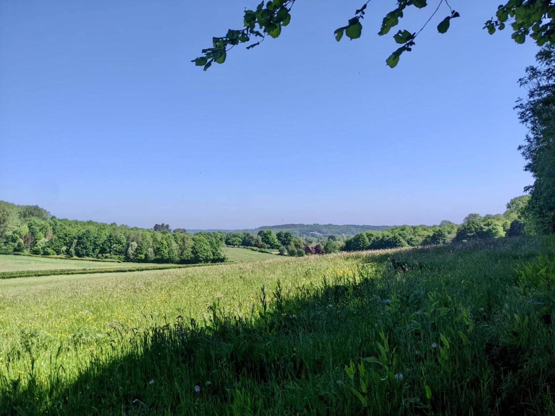 Land At Mount Lane, Romsey Image 5