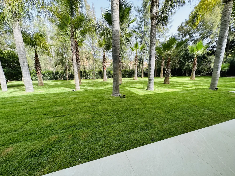Hacienda las Chapas, Marbella East, Malaga, Spain