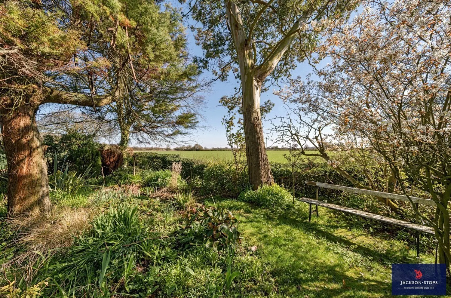 Bradley Road, Kirtling, CB8 photo 6