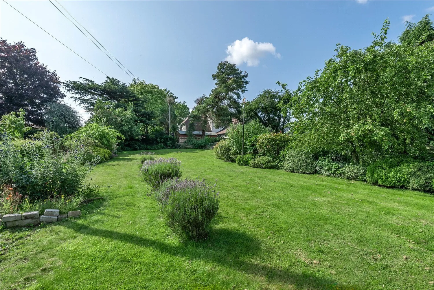 Newmarket Road, Moulton, CB8 photo 4