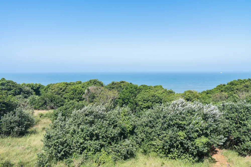 South Africa, KwaZulu Natal, Sibaya Precinct, Heleza Boulevard, 1