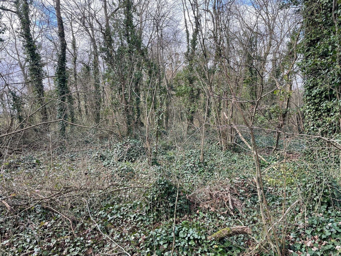 Dials Gate Lane, West Lydford, Somerton, TA11