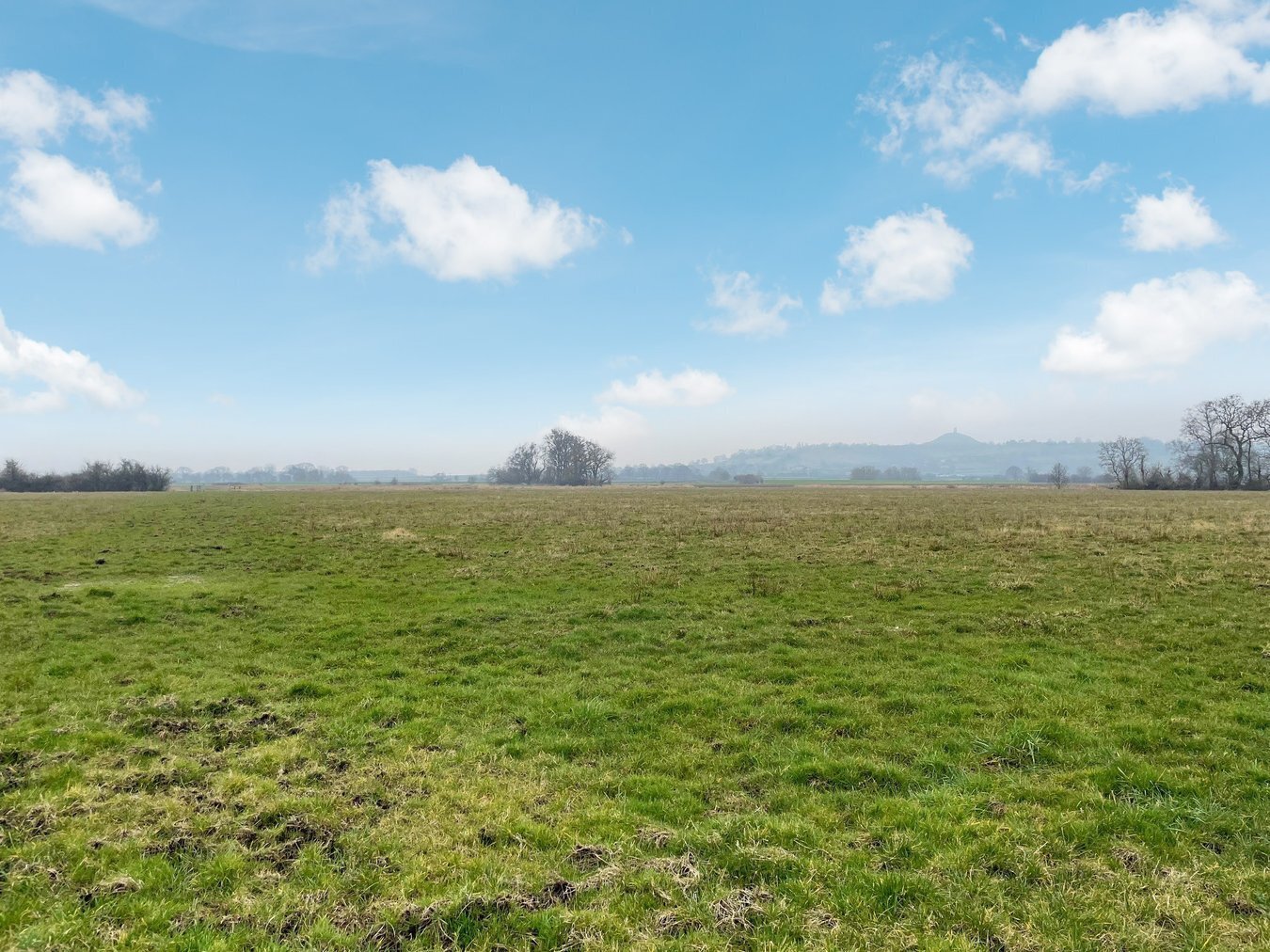 Queens Sedgemoor, Long Drove, Glastonbury, BA6