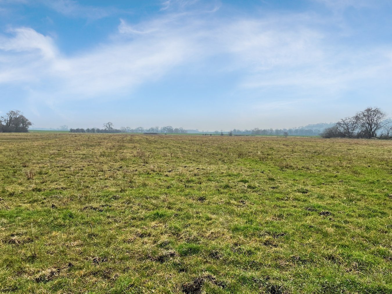 Queens Sedgemoor, Long Drove, Glastonbury, BA6