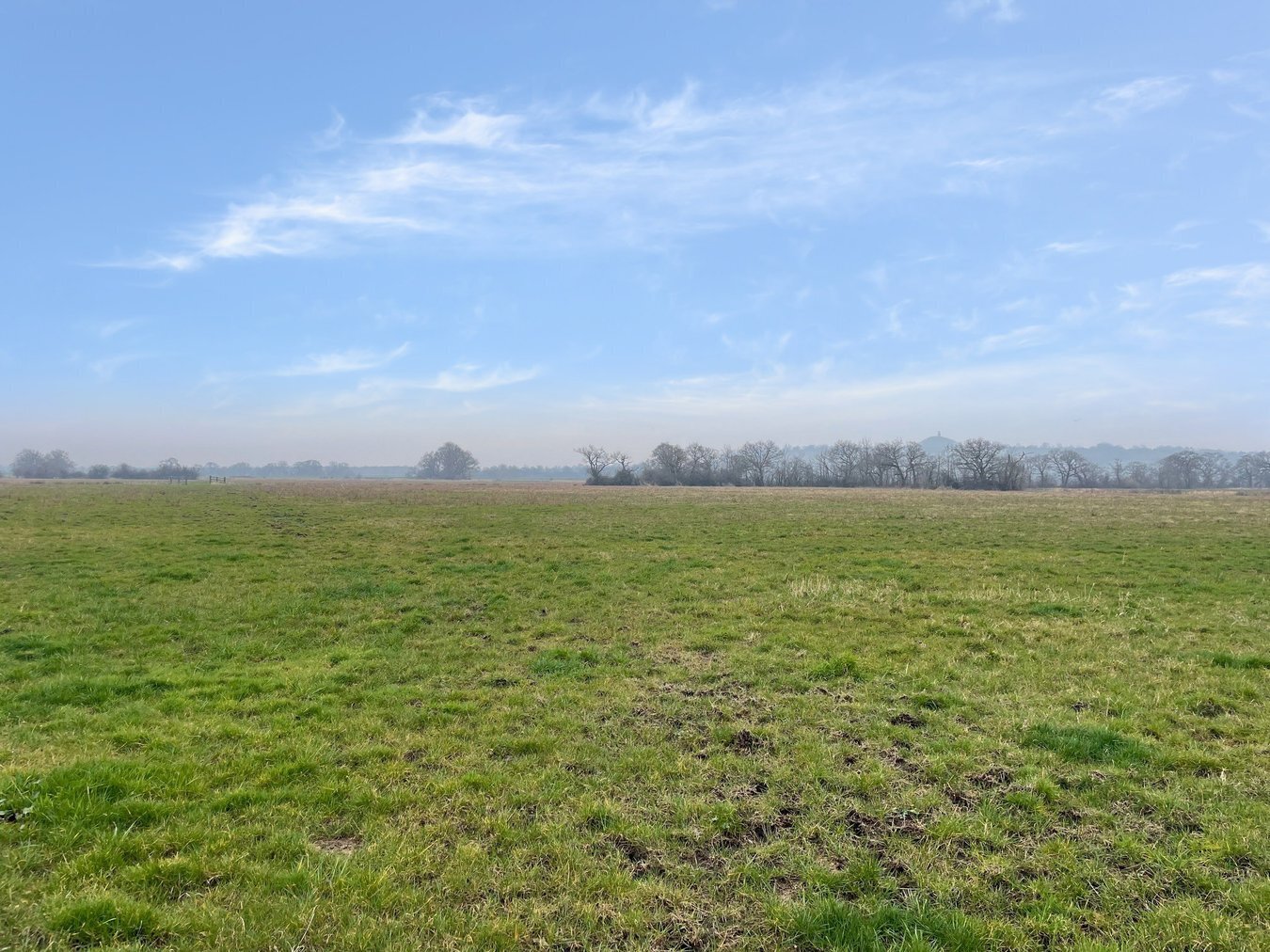 Queens Sedgemoor, Long Drove, Glastonbury, BA6