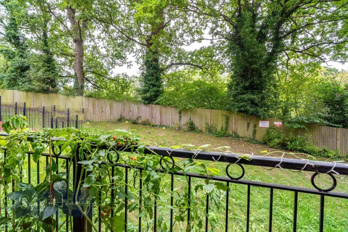 Collison Avenue, Barnet