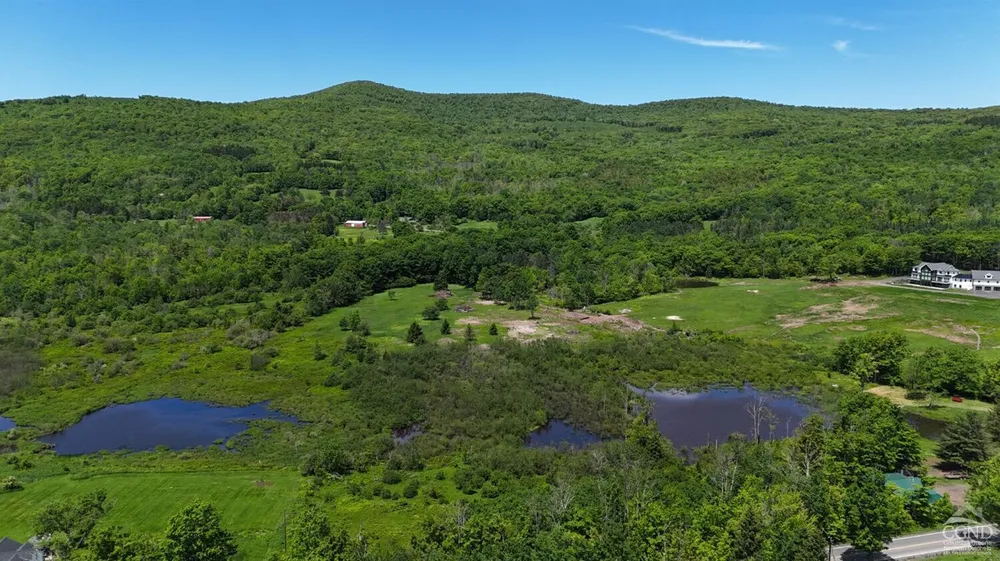 Mitchell Hollow Rd, Windham, NY 12496