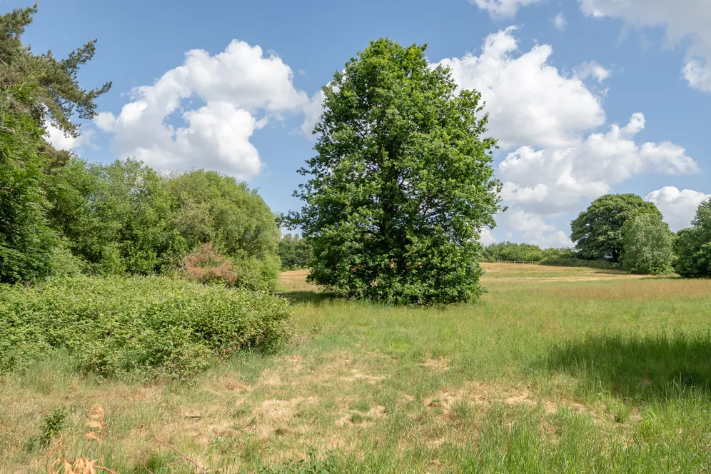 Bletchingley Road, Godstone, RH9 photo 19