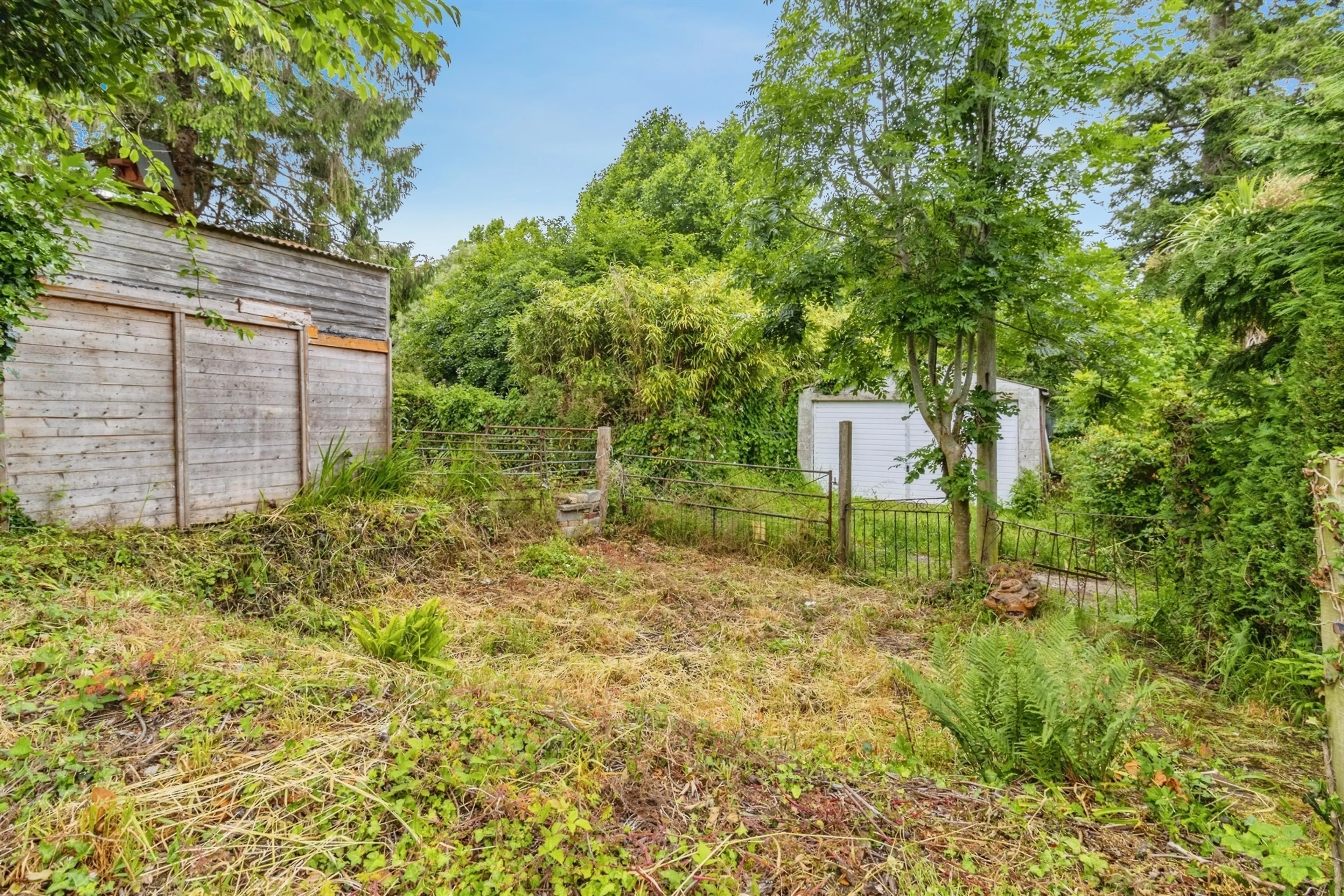 Property photo 12