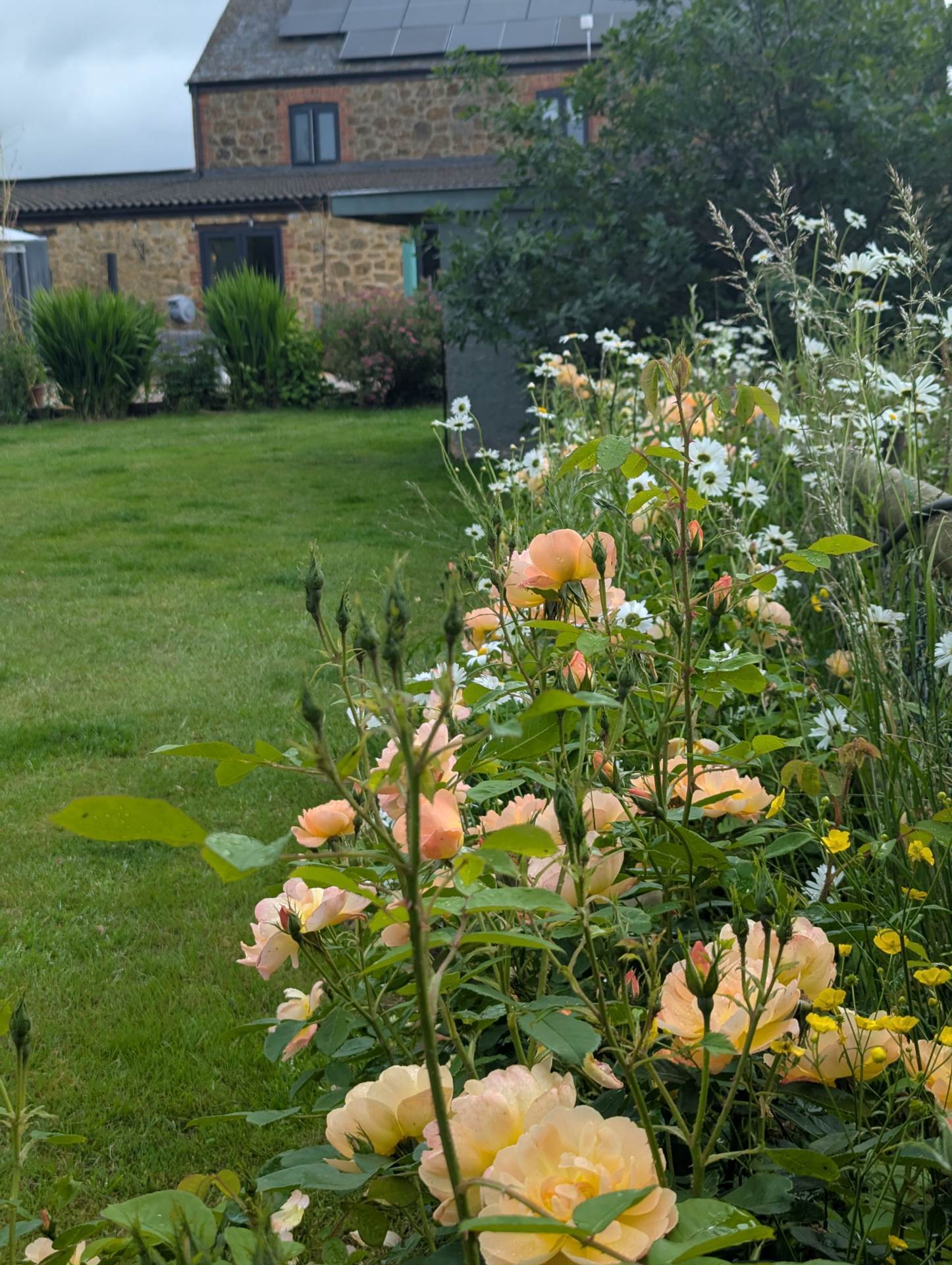 Bere Mills, Nr Ilminster, Just Under 5 Acres Image 14