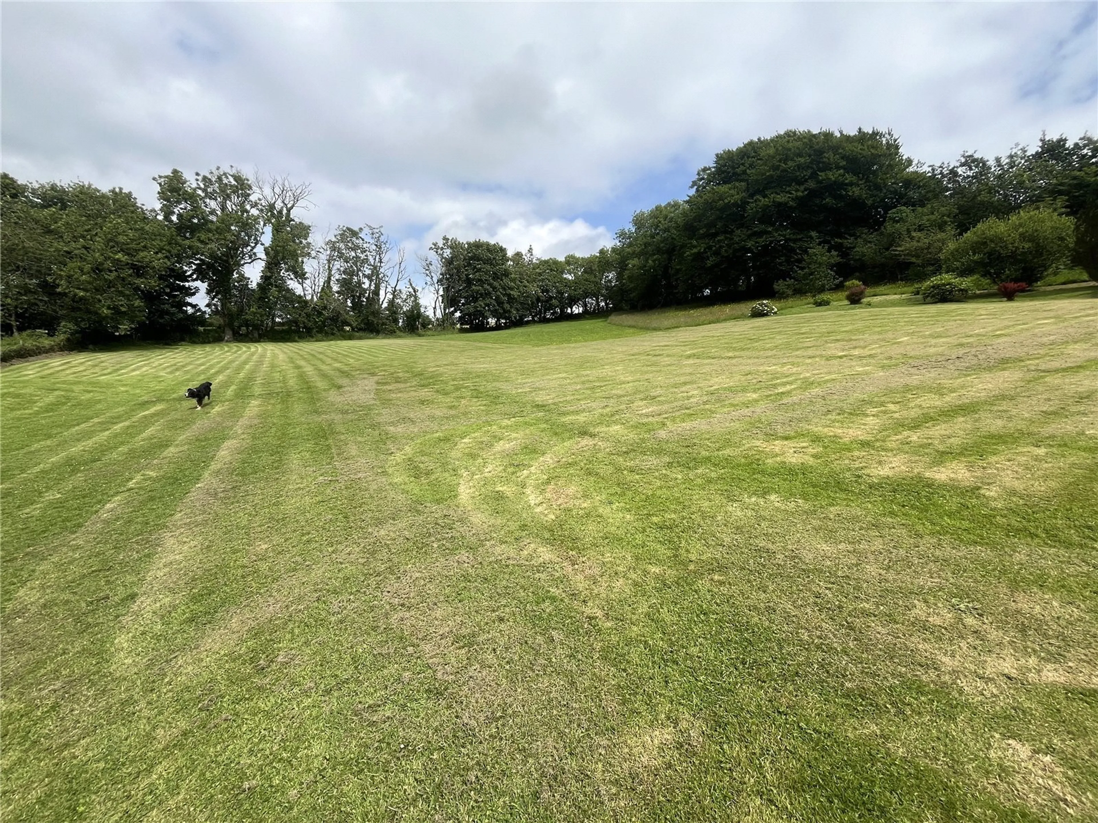 Property photo 18