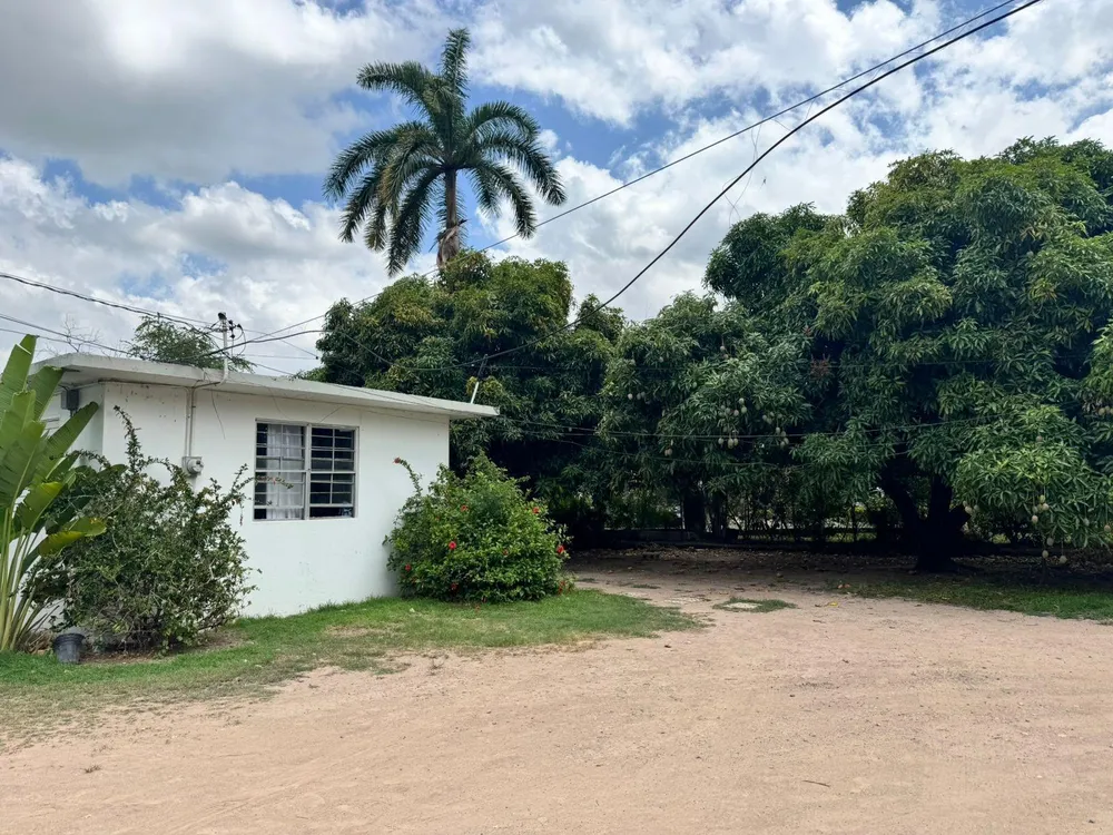 UNIVERSITY CRESCENT, KGN Kingston  St. Andrew