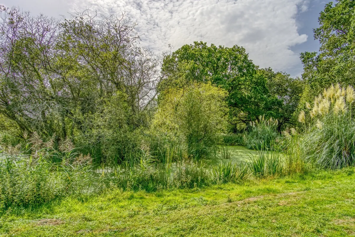 Blandford Road North,, Beacon Hill, Dorset, BH16