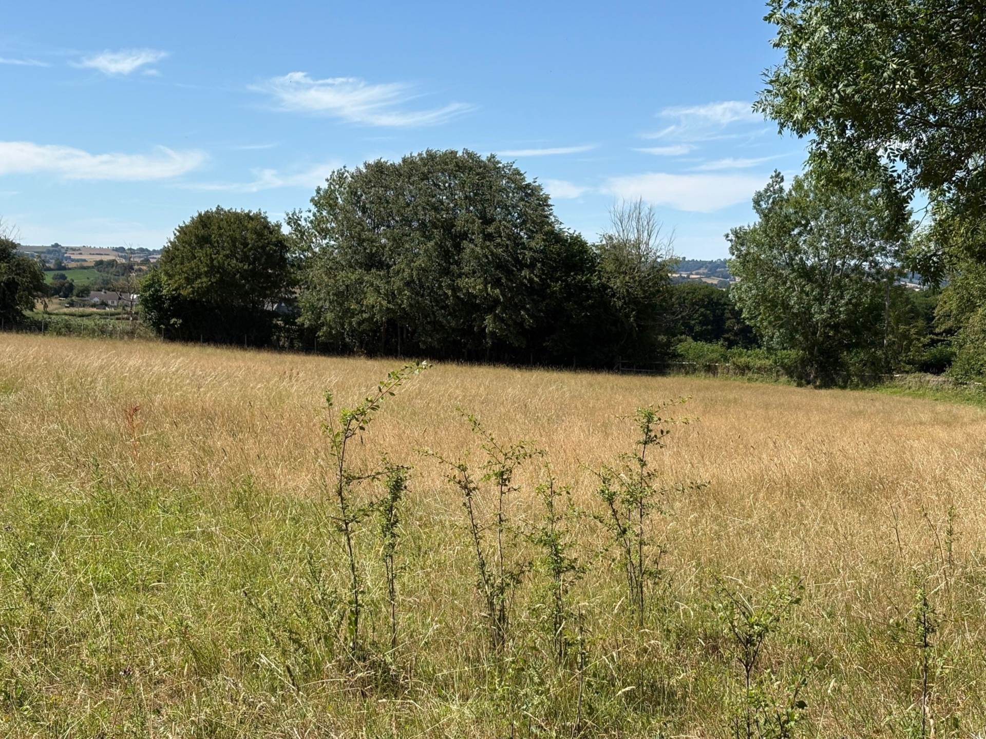 Lot 3 Land at Llangarron, Herefordshire Image 2