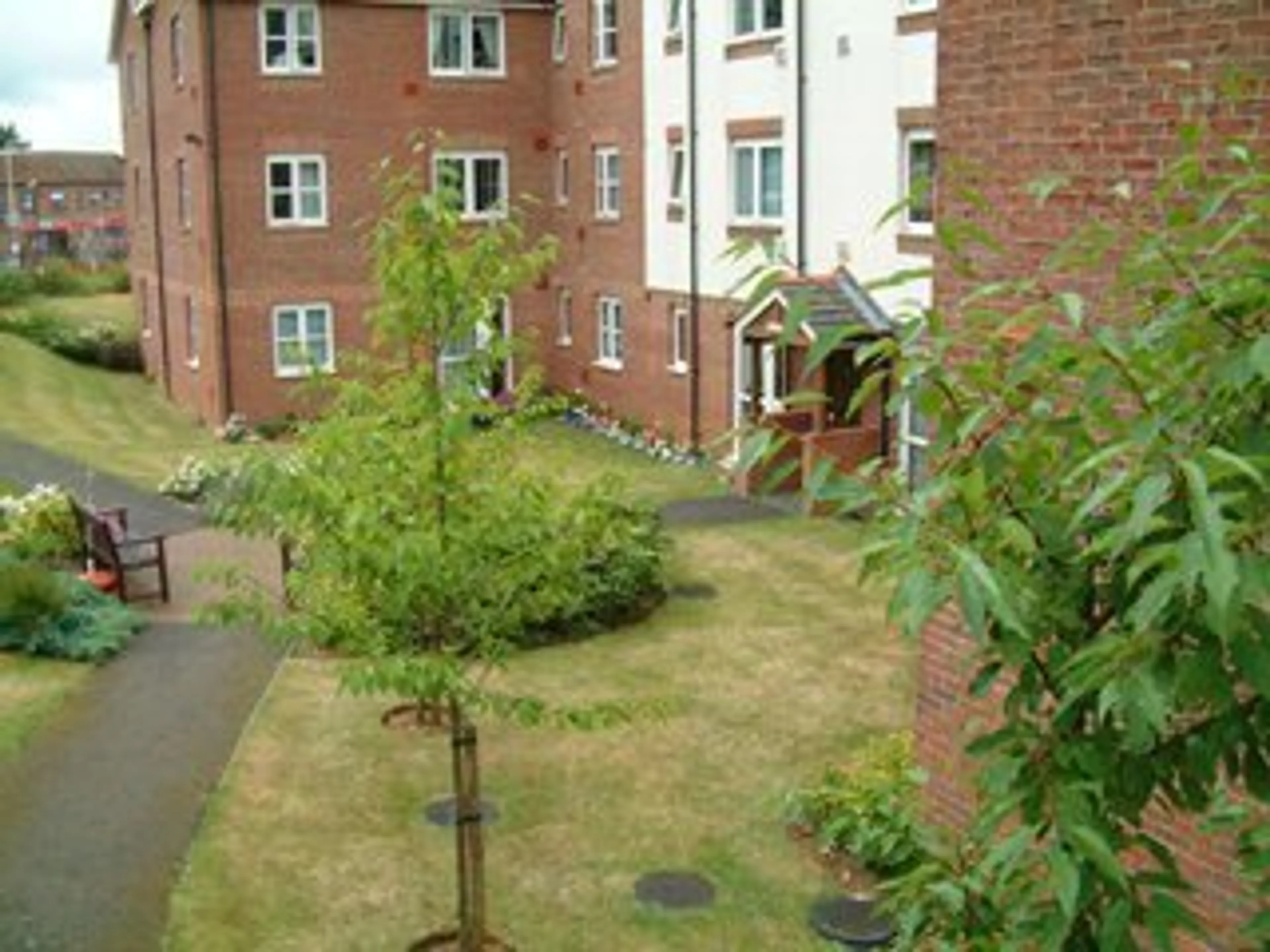 Photo 7