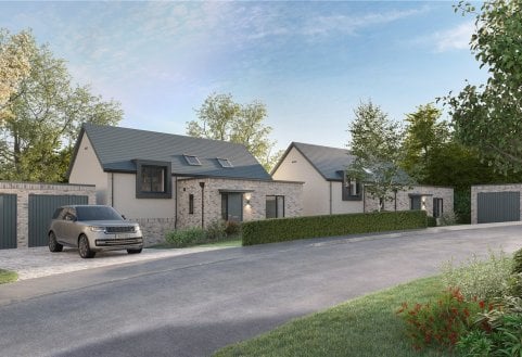 Blackthorn Way Green Park, Chillington