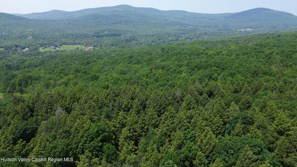 Larsen Dr, Windham, NY 12496