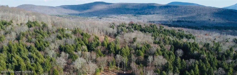Larsen Dr, Windham, NY 12496