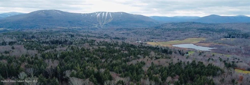 Larsen Dr, Windham, NY 12496